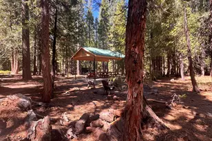1001 Pinion Pine Trail, Johnsville, CA 96103 - Photo 13