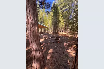 1001 Pinion Pine Trail, Johnsville, CA 96103 - Photo 15
