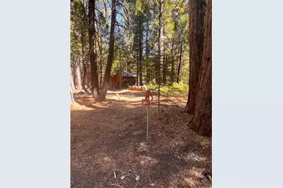 1001 Pinion Pine Trail, Johnsville, CA 96103 - Photo 17