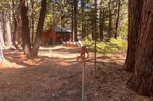 1001 Pinion Pine Trail, Johnsville, CA 96103 - Photo 17