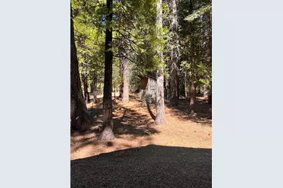 1001 Pinion Pine Trail, Johnsville, CA 96103 - Photo 5