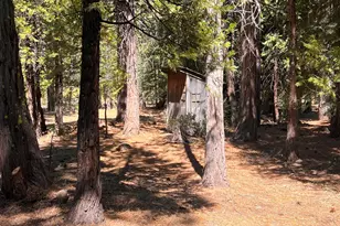 1001 Pinion Pine Trail, Johnsville, CA 96103 - Photo 5