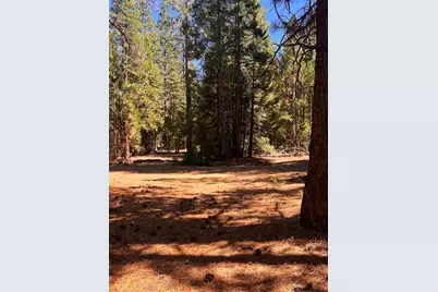 1001 Pinion Pine Trail, Johnsville, CA 96103 - Photo 9