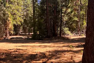 1001 Pinion Pine Trail, Johnsville, CA 96103 - Photo 9
