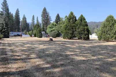 75 Mill Creek Road, Quincy, CA 95971 - Photo 23