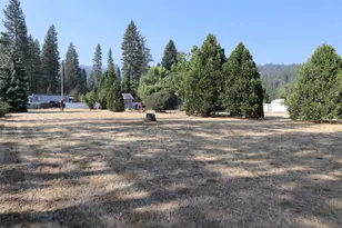 75 Mill Creek Rd, Quincy, CA 95971 - Photo 23