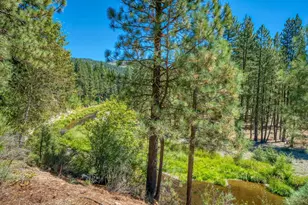 298 Sequoia Cir, Blairsden, CA 96103 - Photo 41