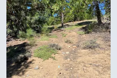7865 E Bitterbrush Road, Portola, CA 96122 - Photo 5