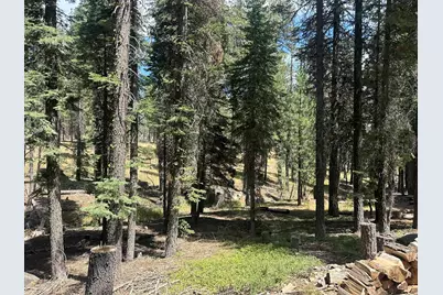 16 Feather River Homesites, Chester, CA 96020 - Photo 13