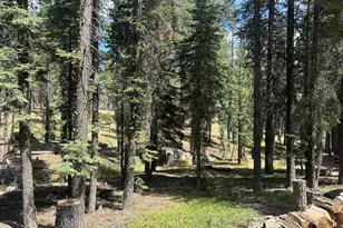 16 Feather River Homesites, Chester, CA 96020 - Photo 13