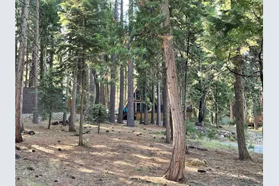 529 Spruce Circle, Lake Almanor, CA 96137 - Photo 7