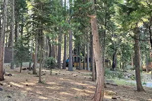 529 Spruce Cir, Lake Almanor, CA 96137 - Photo 7