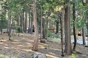 529 Spruce Cir, Lake Almanor, CA 96137 - Photo 27