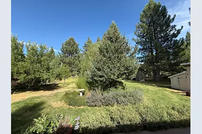 280 Pine Street, Clio, CA 96106 - Photo 37