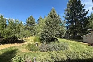 280 Pine St, Clio, CA 96106 - Photo 37