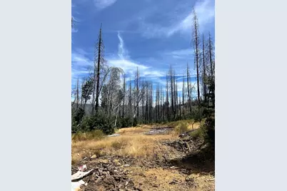 164 Standart Mine Road, Greenville, CA 95947 - Photo 3