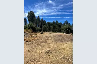 164 Standart Mine Road, Greenville, CA 95947 - Photo 7