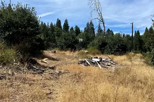164 Standart Mine Rd, Greenville, CA 95947 - Photo 1