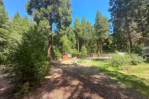2182 Pine Cone Ln, Quincy, CA 95971 - Photo 39