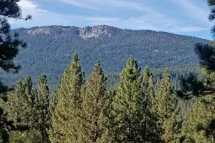 1701 Grey Squirrel Rd, Clio, CA 96106 - Photo 1