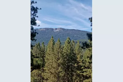1730 Grey Squirrel Road, Clio, CA 96106 - Photo 1