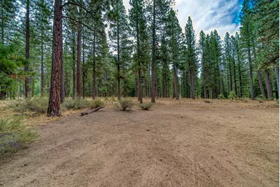 118 Fox Tail Lane, Clio, CA 96106 - Photo 49