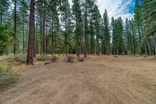 118 Fox Tail Ln, Clio, CA 96106 - Photo 49