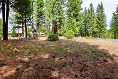 566 Red Sky, Portola, CA 96122 - Photo 5