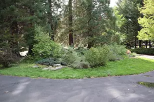 939 Bucks Lake Rd, Quincy, CA 95971 - Photo 31