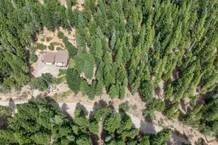 1910 Pathfinder Trail, Quincy, CA 95971 - Photo 45