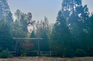 1910 Pathfinder Trail, Quincy, CA 95971 - Photo 49