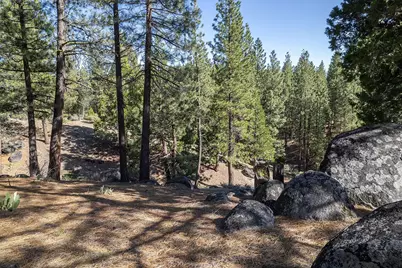 924 Dancing Bears, Portola, CA 96122 - Photo 9