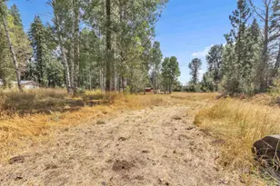 120 Lassen Dr, Westwood, CA 96137 - Photo 35