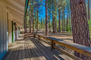 197 Portola McLears Road A-15, Clio, CA 96106 - Photo 11