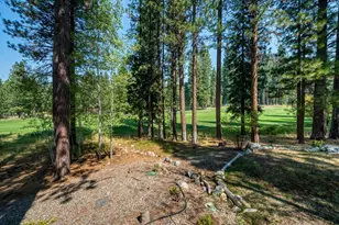625 Miner's Passage, Clio, CA 96106 - Photo 13