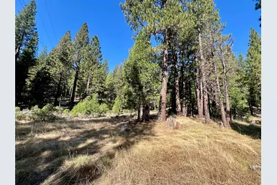 1651 Woodpecker Road, Clio, CA 96106 - Photo 37