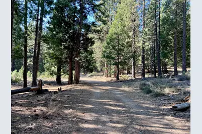 1651 Woodpecker Road, Clio, CA 96106 - Photo 15