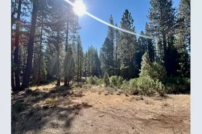 1651 Woodpecker Road, Clio, CA 96106 - Photo 39