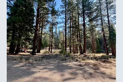 1651 Woodpecker Road, Clio, CA 96106 - Photo 9