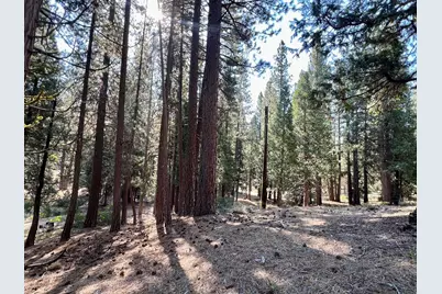 1651 Woodpecker Road, Clio, CA 96106 - Photo 27