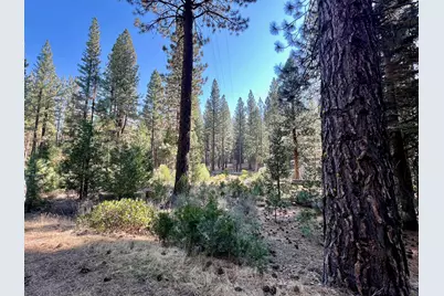 1651 Woodpecker Road, Clio, CA 96106 - Photo 5