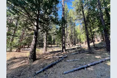 1651 Woodpecker Road, Clio, CA 96106 - Photo 19