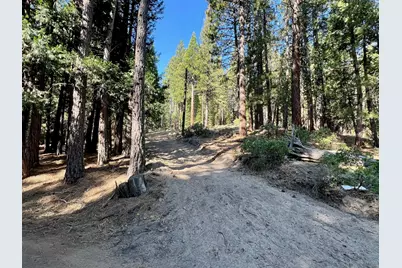 1651 Woodpecker Road, Clio, CA 96106 - Photo 3