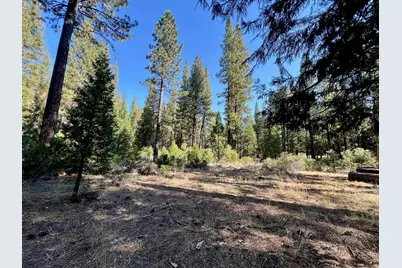1651 Woodpecker Road, Clio, CA 96106 - Photo 33