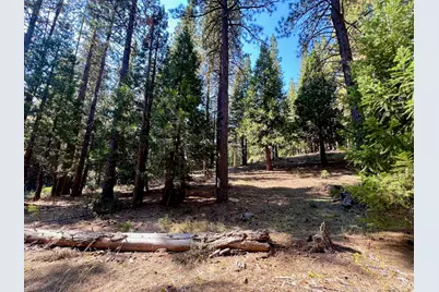 1651 Woodpecker Road, Clio, CA 96106 - Photo 25
