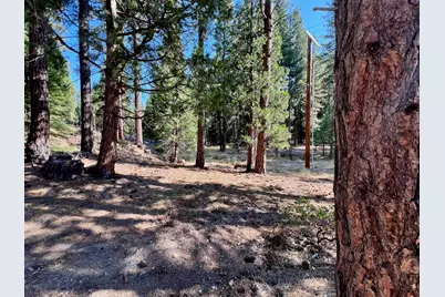 1651 Woodpecker Road, Clio, CA 96106 - Photo 11