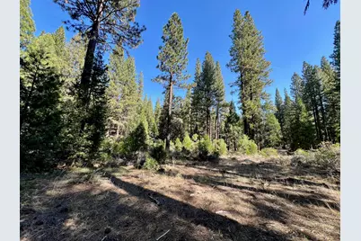 1651 Woodpecker Road, Clio, CA 96106 - Photo 1