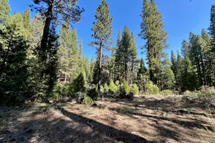 1651 Woodpecker Rd, Clio, CA 96106 - Photo 1
