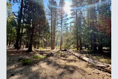 1651 Woodpecker Road, Clio, CA 96106 - Photo 23