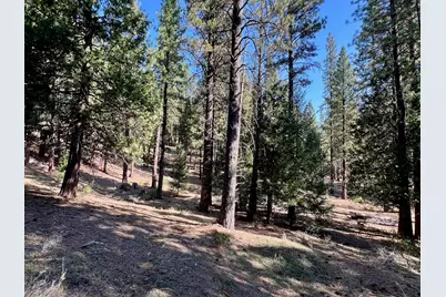1651 Woodpecker Road, Clio, CA 96106 - Photo 29